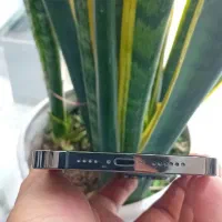 موبایل آیفون 13pro max|موبایل|اصفهان, زوان|دیوار