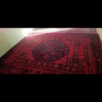 روفرشی کشدار|روفرشی|بندرعباس, |دیوار