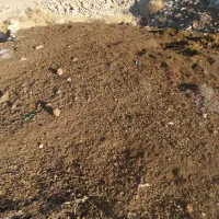 کود حیوانی|خدمات باغبانی و درختکاری|خرم‌آباد, |دیوار