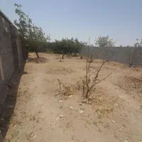 فروش زمین ۲۴۴ متری در گلشهر