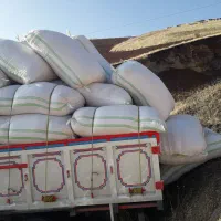 کاه نرم کردستان