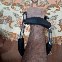 لوازم‌ورزشی|تجهیزات ورزشی|اردبیل, |دیوار