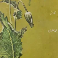 کتاب قدیمی|کتاب و مجله تاریخی|قم, باغ کرباسی|دیوار