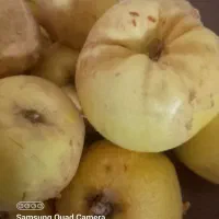 سلام. محصولات کاملا طبیعی روستای کوهستانی|گل و گیاه طبیعی|تهران, ترمینال جنوب|دیوار