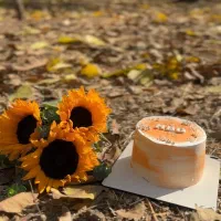 عکاسی فیلمبرداری|خدمات پذیرایی، مراسم|تبریز, |دیوار