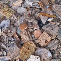 2 تن نان خشک تمیز