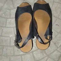 کفش مجلسی|کیف، کفش، کمربند|اشنویه, |دیوار