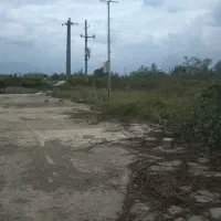 زمین باغی|فروش زمین و ملک کلنگی|رشت, سلیمانداراب|دیوار