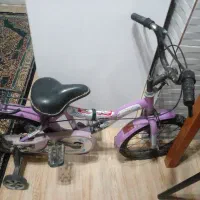 بچگانه اصل تایوان