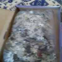 پازل هزار تکه|کلکسیون و سرگرمی|شریفآباد, |دیوار