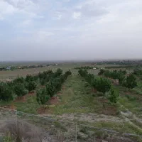 فروش باغ به متراژ ۸۰۰ متر جاده صومعه