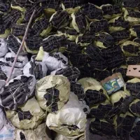 فروش فوری ذغال کبابی