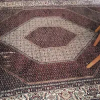 قالی|فرش|سنندج, |دیوار