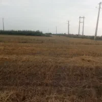 زمین لب جاده