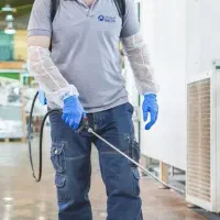 سم بدون بو|لوازم نظافت|رشت, پورسینا|دیوار