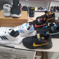 تولیدی کفش سالامون|کیف، کفش، کمربند|تبریز, |دیوار