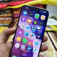 15 پرو مکس در خشک