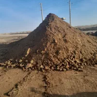 کود حیوانی گاوی خالص|خدمات باغبانی و درختکاری|زید آباد, |دیوار