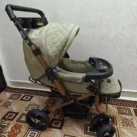 کالسکه بنیتا مدل دلیجان