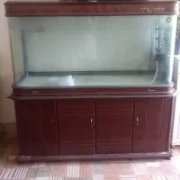 آکواریوم با شیشه خارجی