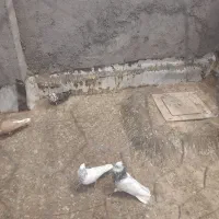 سه‌.عددکفتر