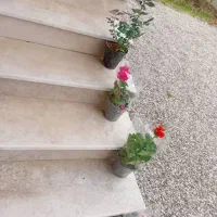 نظافت راه پله پارکینگ ویلاآپارتمان تخصصی