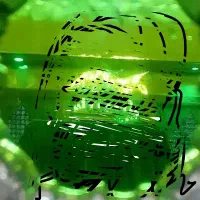 راهنمایی داوطلبانه