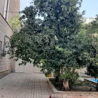 تهاتر با ملک ویلایی|فروش خانه و ویلا|مشهد, کوشش|دیوار