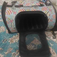 کیف گربه|لوازم جانبی حیوانات|کیش, |دیوار