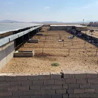 مجموعه گاوداری 100راسی و7 هکتار زمین واب