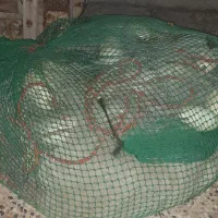 لوازم صیادی