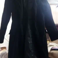 پالتومخمل درحدنو