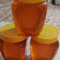 پخش عمده کره