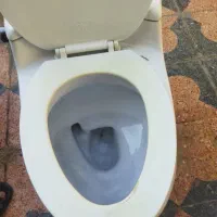 فروش یک عدد توالت فرنگی آرمیتاژ درحدنو|لوازم سرویس بهداشتی|شیراز, قلعه نو|دیوار