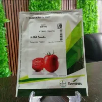 بذر گوجه برنتا و بریویو تناژ بالا