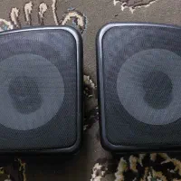 ظبط و باند جک‌پژویی