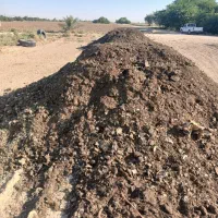 فروش کود مرغ