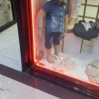 با.سلام.تعداد.۱۰عدد.مانکن|فروشگاه و مغازه|فردیس, قریشی|دیوار