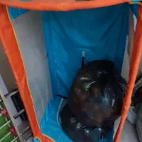 گهواره|اسباب و اثاث بچه|قم, سراجه (۱۵ خرداد)|دیوار