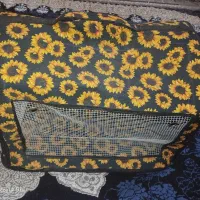 کوله حمل پرنده