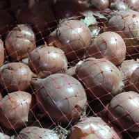 پیاز|عمدهفروشی|تهران, شهرک شریعتی|دیوار