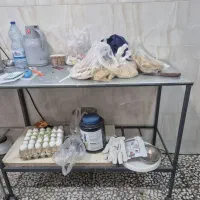 میز کار اهنی چرخ دار . عروس . گرینچیک|لوازم جانبی حیوانات|گنبد کاووس, |دیوار