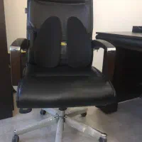 صندلی گردان مدیریت رایانه صنعت چرم