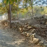زمین باغ بر جاده|فروش زمین و ملک کلنگی|برزک, |دیوار
