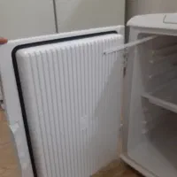 یخچال خودرو