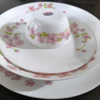 آرکوپال 24 نفره|ظروف سرو و پذیرایی|اصفهان, مفتح|دیوار