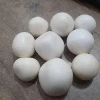 سنگ اسیاب
