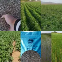 ((کود زئومیکس))فیلم رضایت کشاورزان رو کامل ببینید