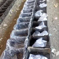 بادمجان9.فلفل15 خیار 21هشت خط30ماهی|عمده‌فروشی|بندرعباس, |دیوار