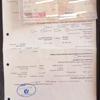 وکیل متخصص در امور خانواده، ملکی، کیفری و حقوقی|خدمات مالی، حسابداری، بیمه|تبریز, |دیوار